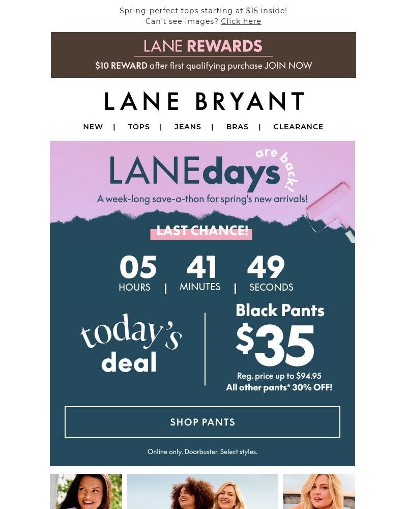 Screenshot of email sent to a Lane Bryant Newsletter subscriber