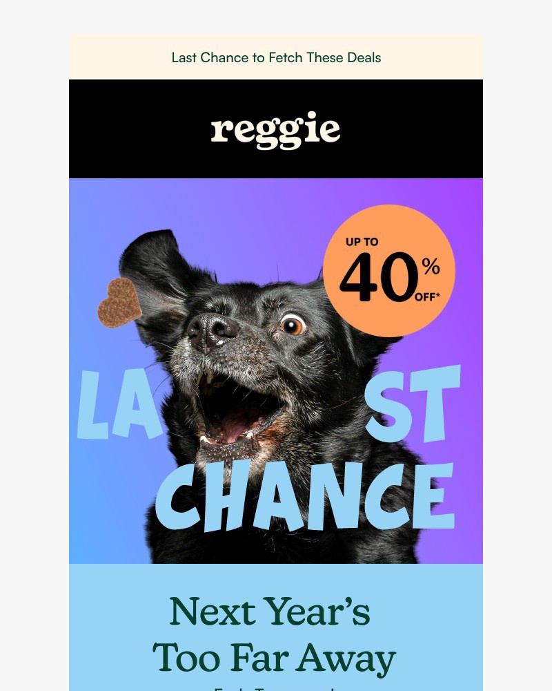 Screenshot of email with subject /media/emails/last-chance-40-off-ends-tomorrow-47ab43-cropped-c252439f.jpg