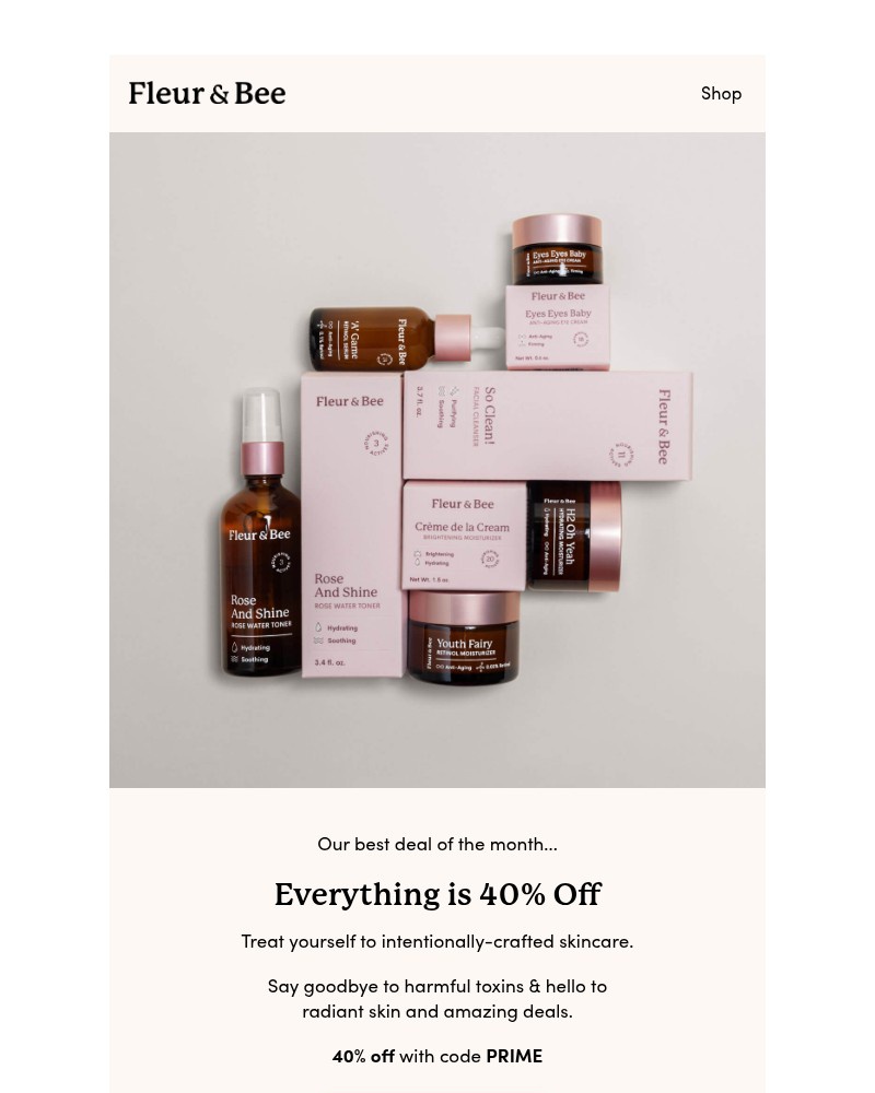 Screenshot of email with subject /media/emails/last-chance-40-off-sale-86a306-cropped-f21c51b5.jpg