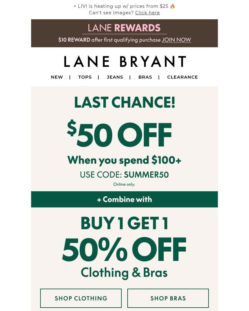 Screenshot of email sent to a Lane Bryant Newsletter subscriber