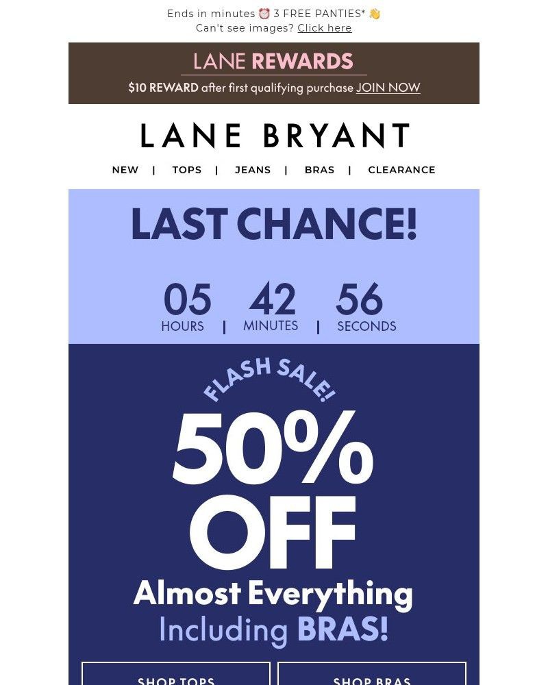 Screenshot of email sent to a Lane Bryant Newsletter subscriber