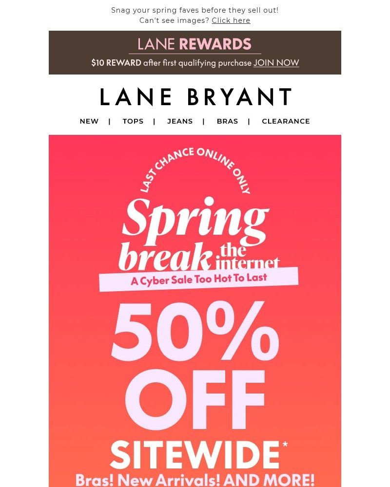 Screenshot of email with subject /media/emails/last-chance-50-off-sitewide-excls-apply-779175-cropped-f4d84e5e.jpg