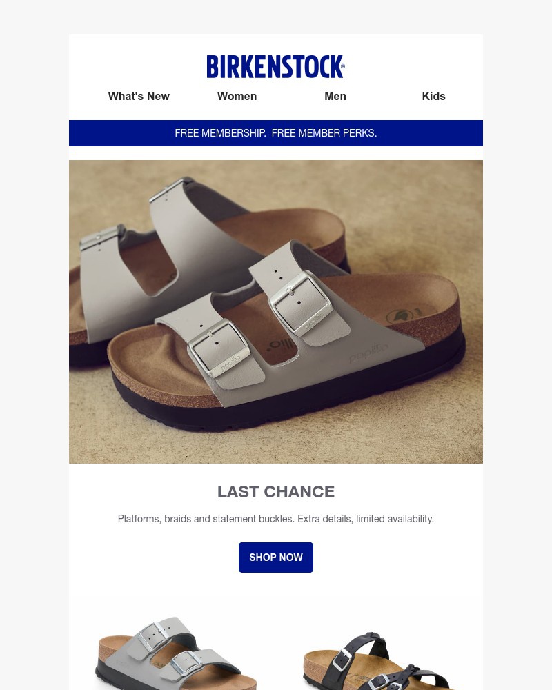 Screenshot of email with subject /media/emails/last-chance-arizona-platform-in-stone-coin-b887be-cropped-528f4ec1.jpg