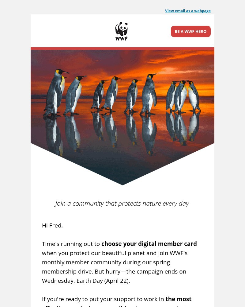 Screenshot of email with subject /media/emails/last-chance-choose-your-membership-card-today-291153-cropped-fde49a49.jpg
