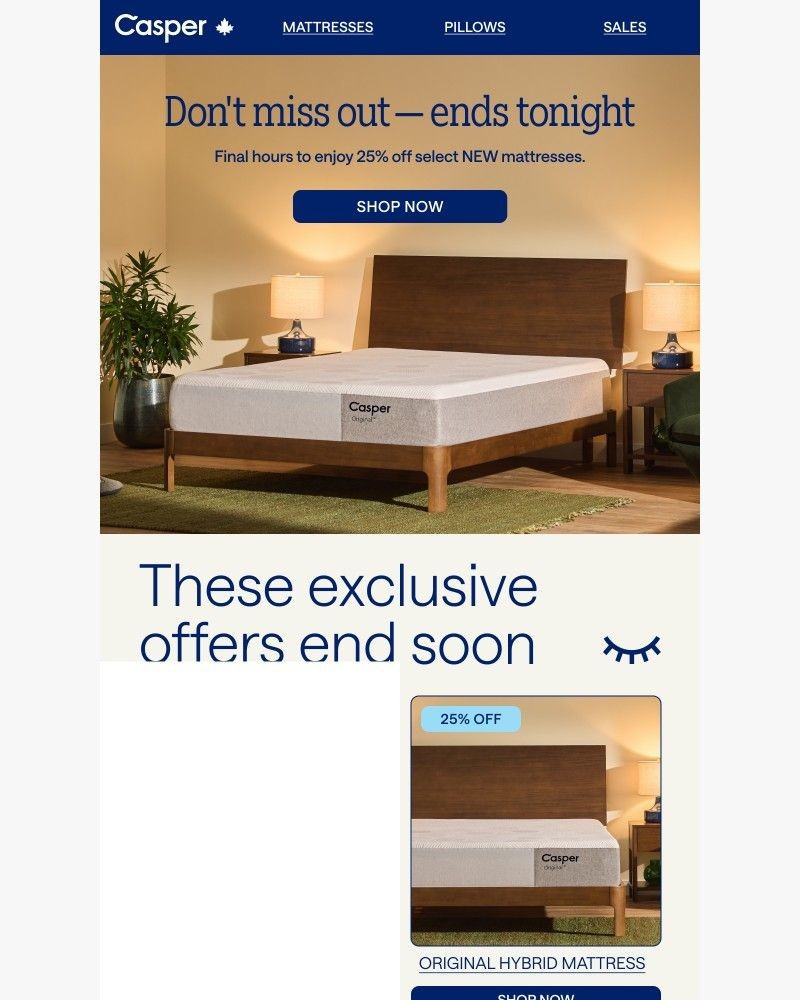 Screenshot of email with subject /media/emails/last-chance-exclusive-offer-ends-tonight-512529-cropped-88459696.jpg