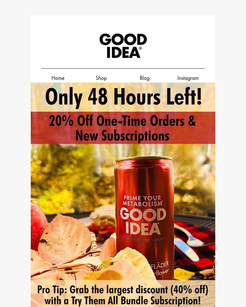 Screenshot of email with subject /media/emails/last-chance-fall-sale-ends-in-48-hours-save-20-now-8ed039-cropped-804a1d91.jpg