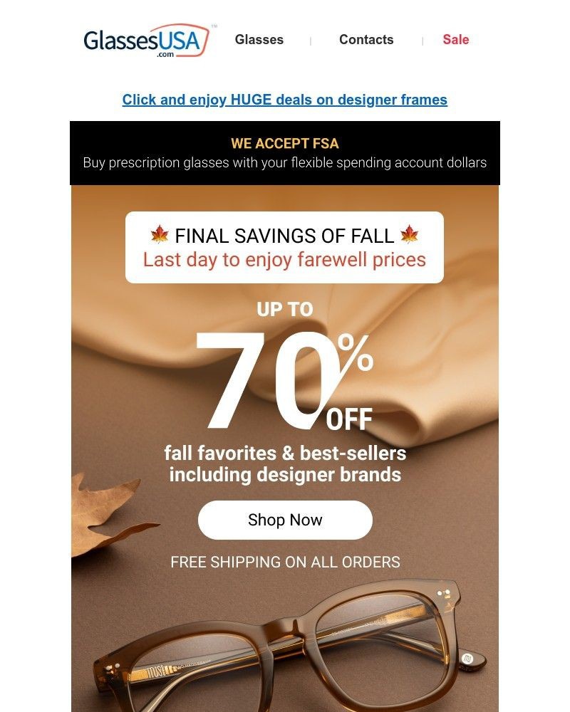 Screenshot of email with subject /media/emails/last-chance-farewell-to-huge-fall-savings-on-1e5b7e-cropped-934f44b2.jpg