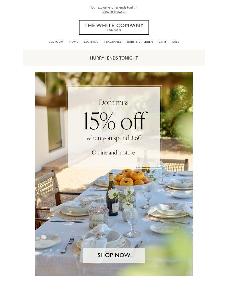 Screenshot of email with subject /media/emails/last-chance-for-15-off-33bb55-cropped-f52a78ea.jpg