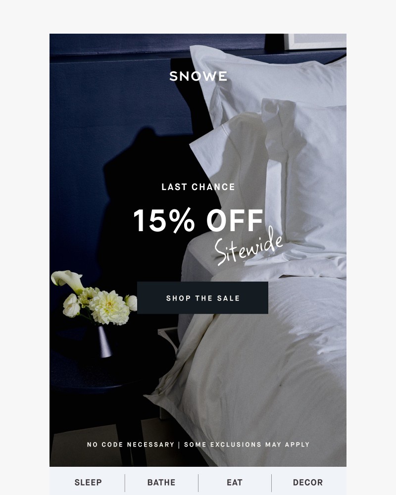 Screenshot of email sent to a Snowe Newsletter subscriber