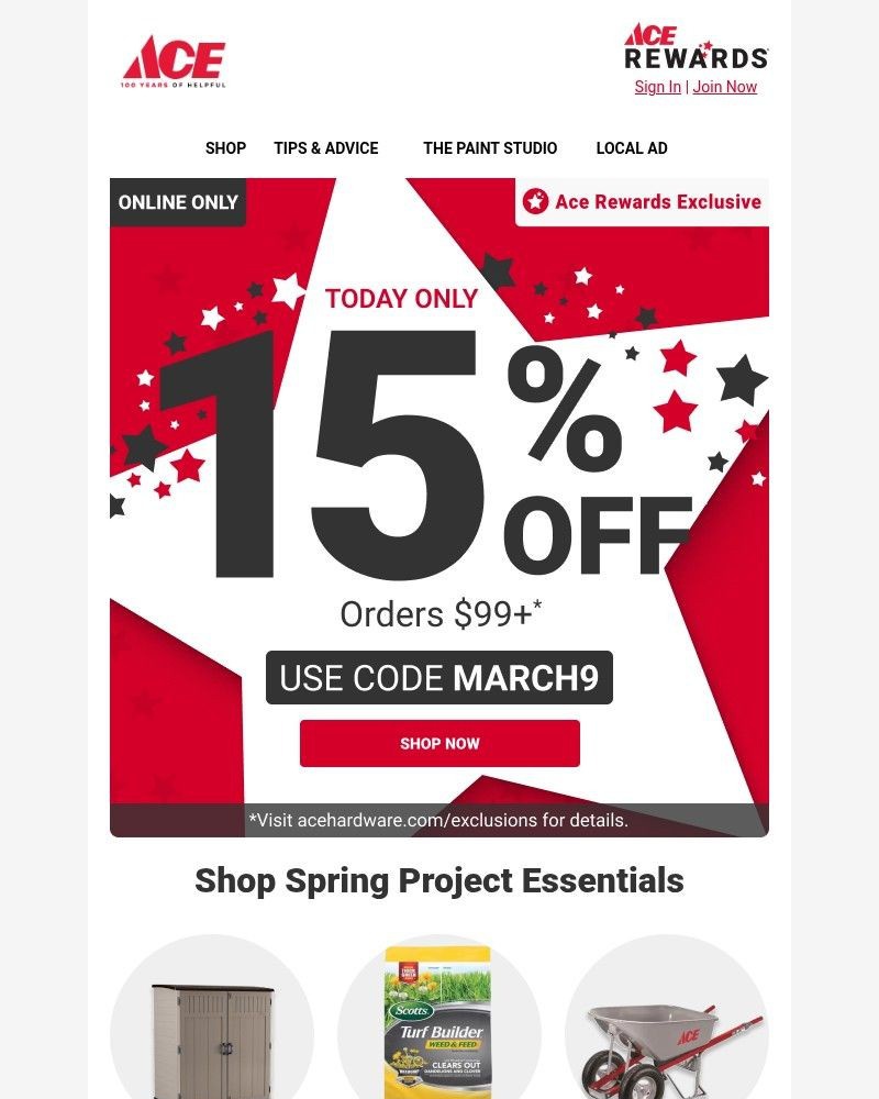 Screenshot of email sent to a Ace Hardware Newsletter subscriber