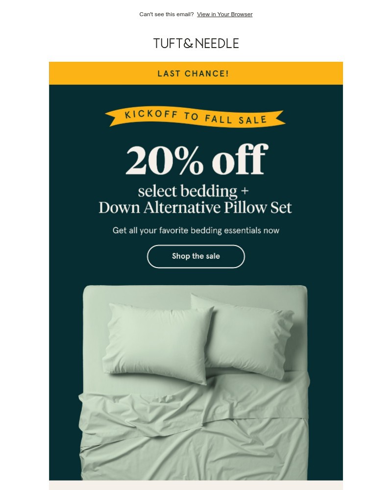 Screenshot of email with subject /media/emails/last-chance-for-20-off-35faa5-cropped-dfb7f5a1.jpg
