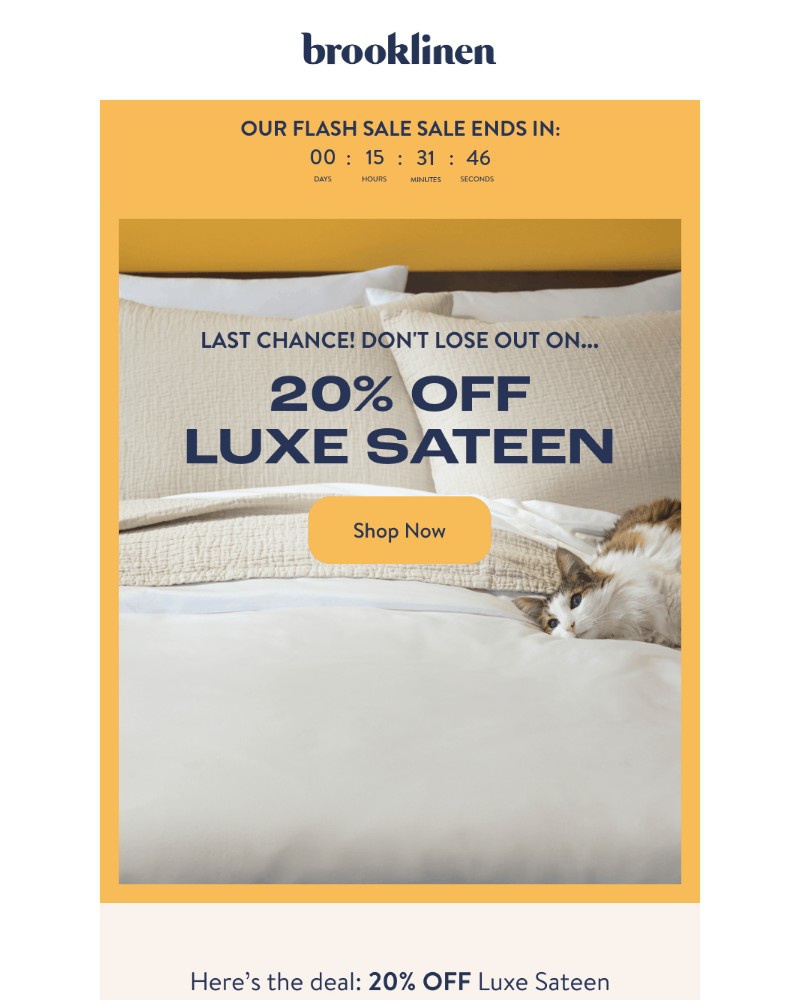 Screenshot of email with subject /media/emails/last-chance-for-20-off-luxe-sateen-f97029-cropped-6e03ef48.jpg