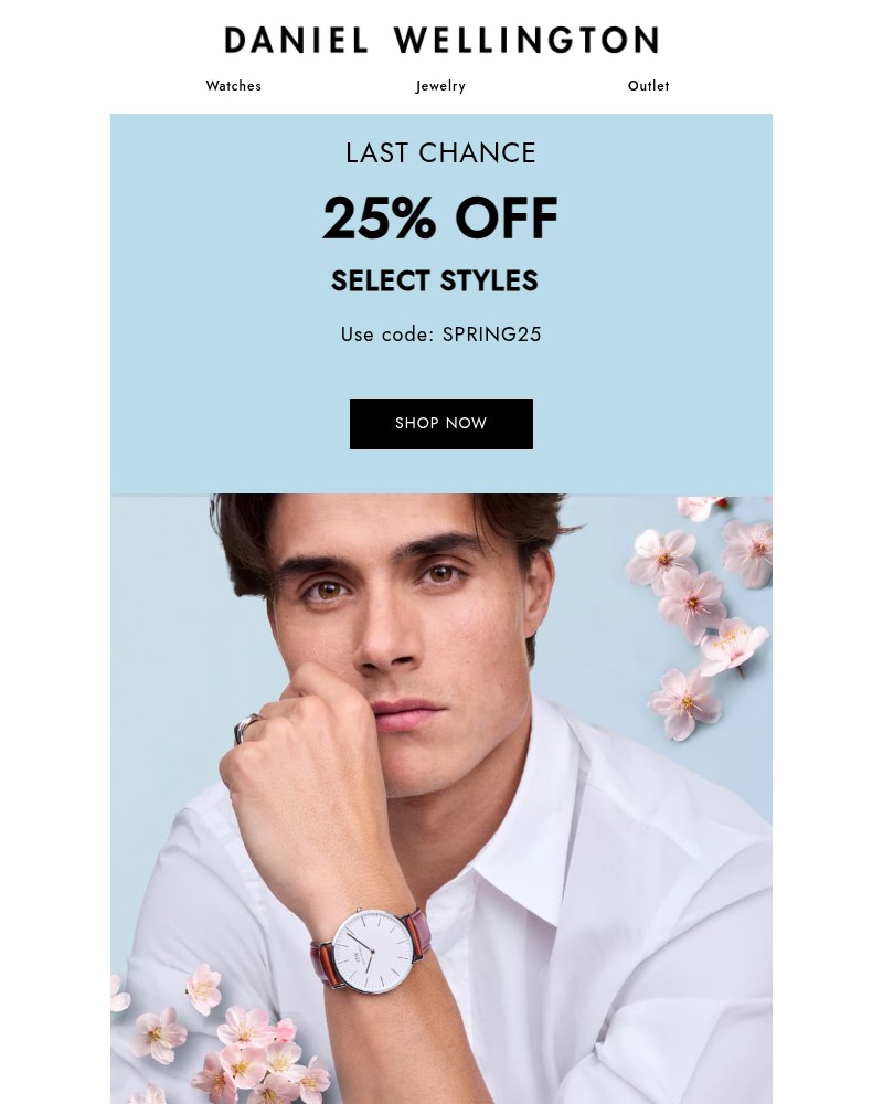 Screenshot of email with subject /media/emails/last-chance-for-25-off-189ee6-cropped-31acd72f.jpg