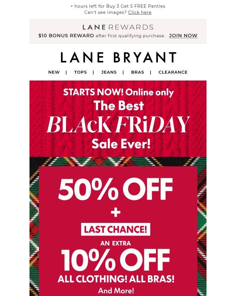 Screenshot of email sent to a Lane Bryant Newsletter subscriber
