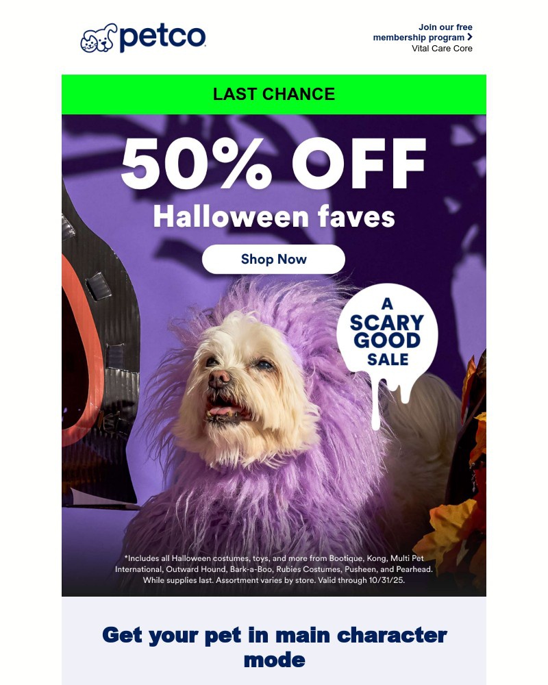 Screenshot of email with subject /media/emails/last-chance-for-50-off-fb3958-cropped-d125add1.jpg