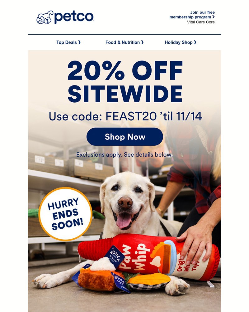 Screenshot of email sent to a Petco Newsletter subscriber