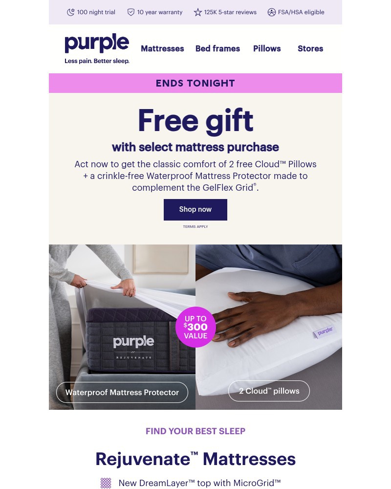 Screenshot of email with subject /media/emails/last-chance-for-a-free-gift-88179a-cropped-bdb64508.jpg