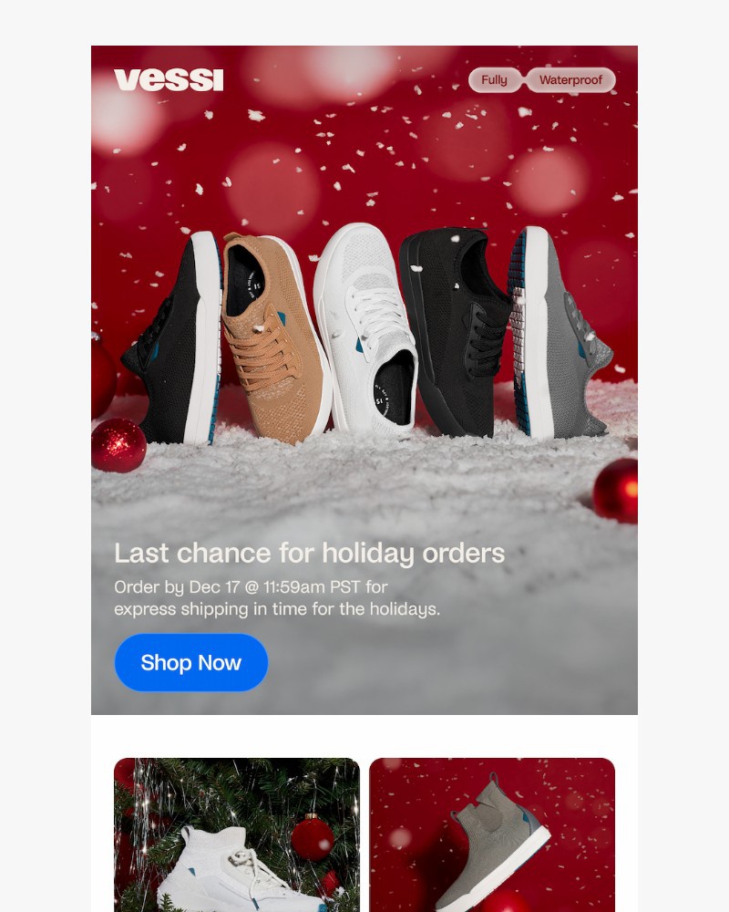 Screenshot of email with subject /media/emails/last-chance-for-express-shipping-5e725b-cropped-ad599ebb.jpg