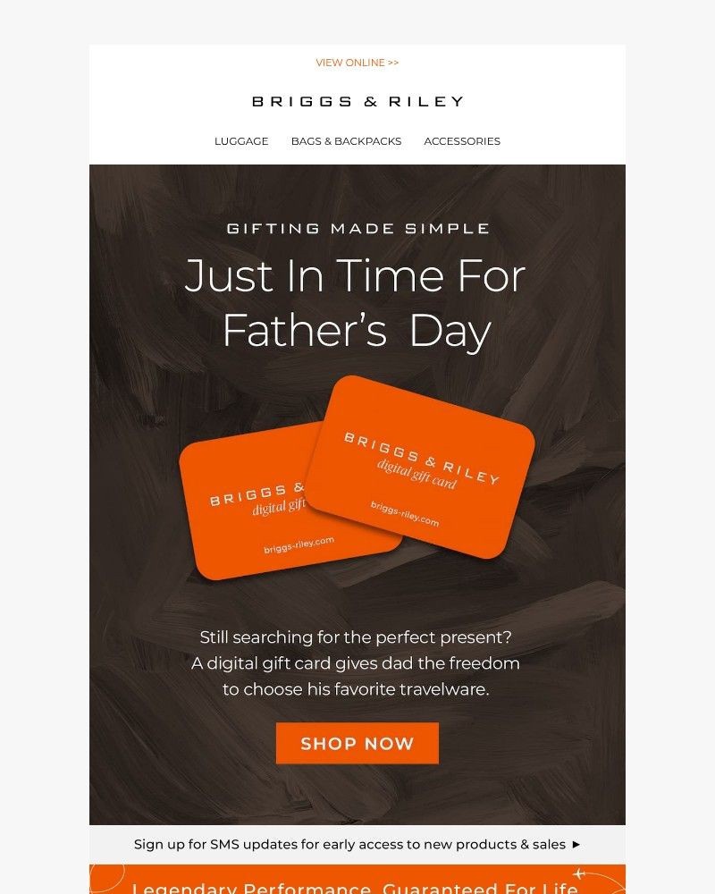 Screenshot of email with subject /media/emails/last-chance-for-fathers-day-gifting-f3cee1-cropped-3dd2e90d.jpg