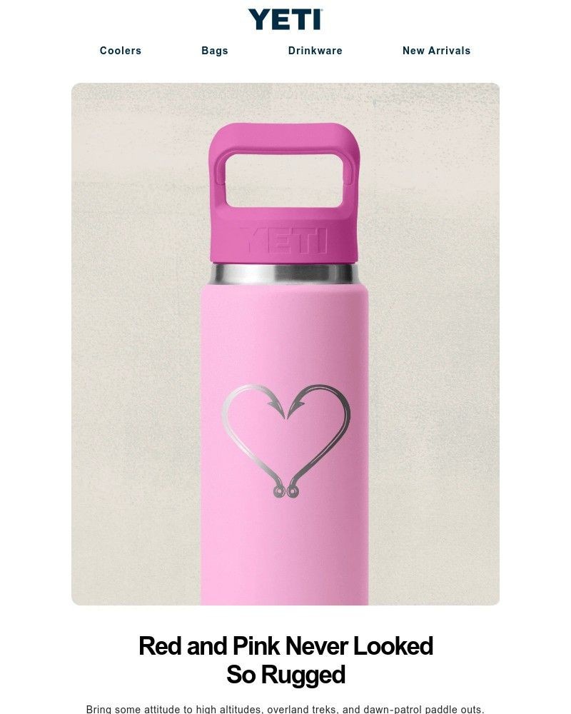 Screenshot of email sent to a Yeti Newsletter subscriber