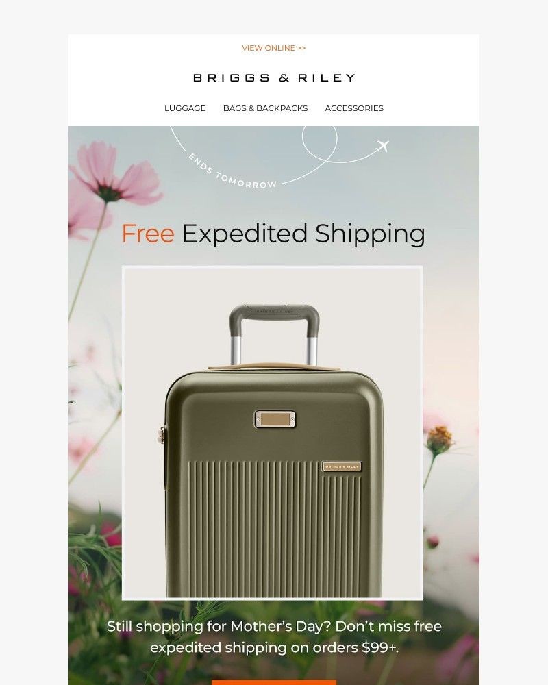 Screenshot of email with subject /media/emails/last-chance-for-free-expedited-shipping-d10a43-cropped-5040274a.jpg