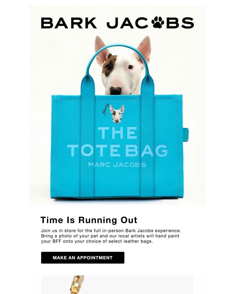 Screenshot of email with subject /media/emails/last-chance-for-in-store-pet-portraits-ccbe0b-cropped-31036c1e.jpg