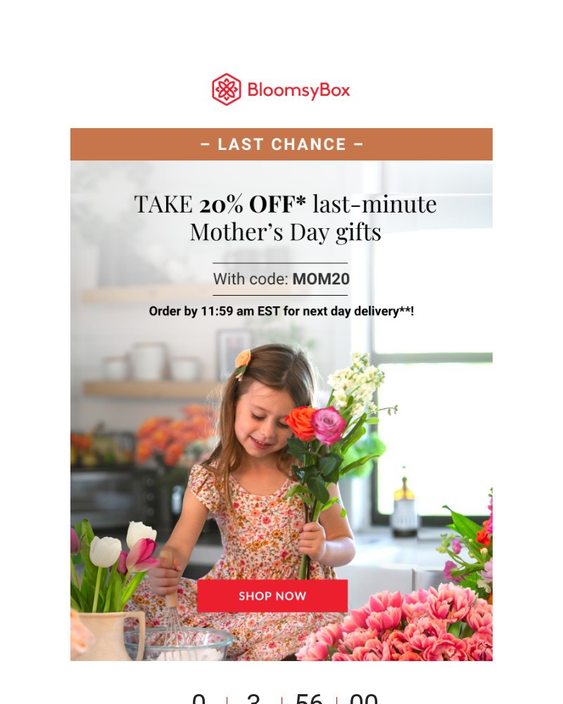 Screenshot of email with subject /media/emails/last-chance-for-mothers-day-delivery-c24d82-cropped-82dc79d2.jpg