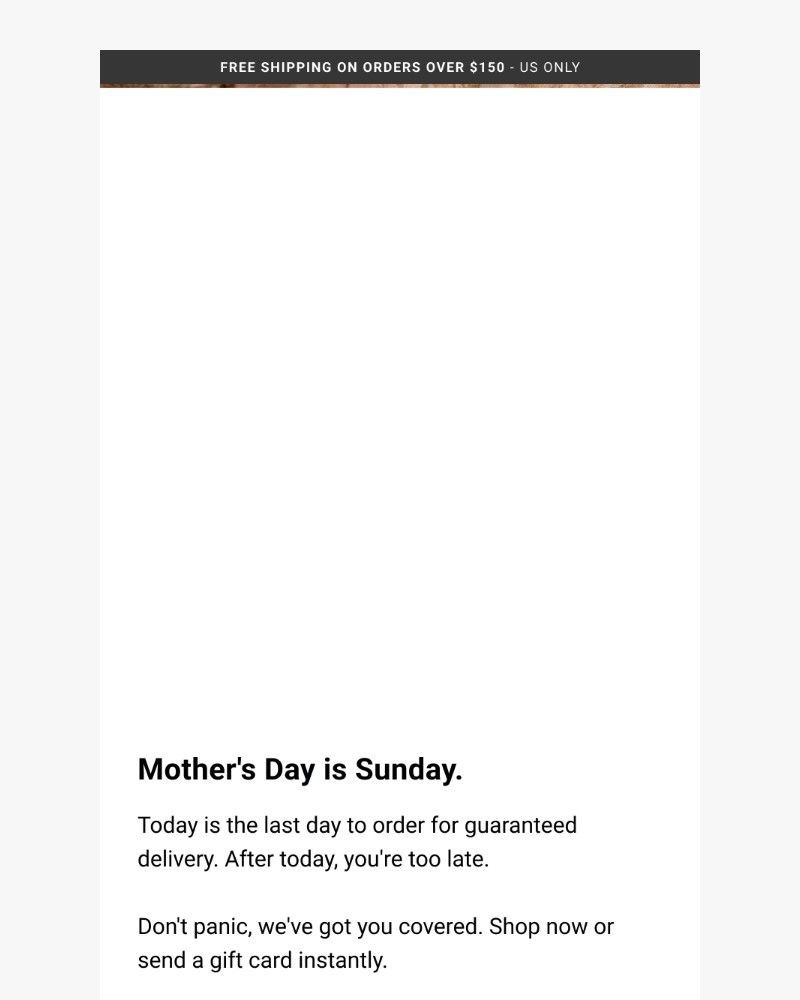 Screenshot of email sent to a Spyder Newsletter subscriber