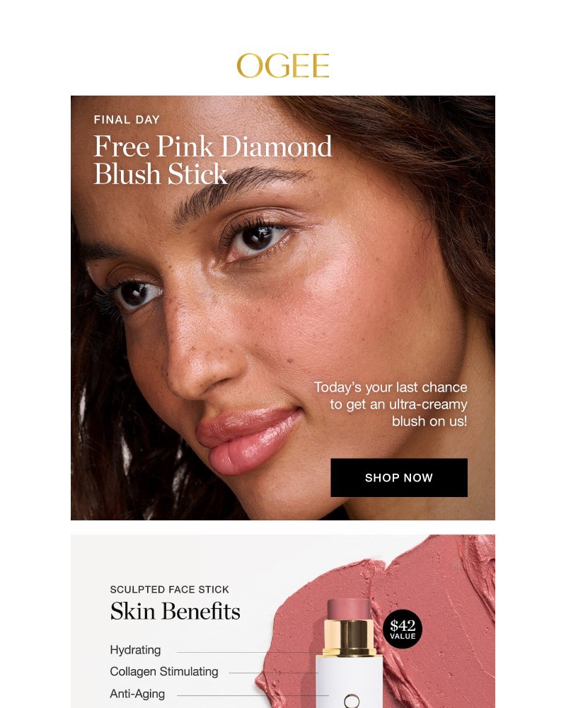 Screenshot of email sent to a Ogee Newsletter subscriber