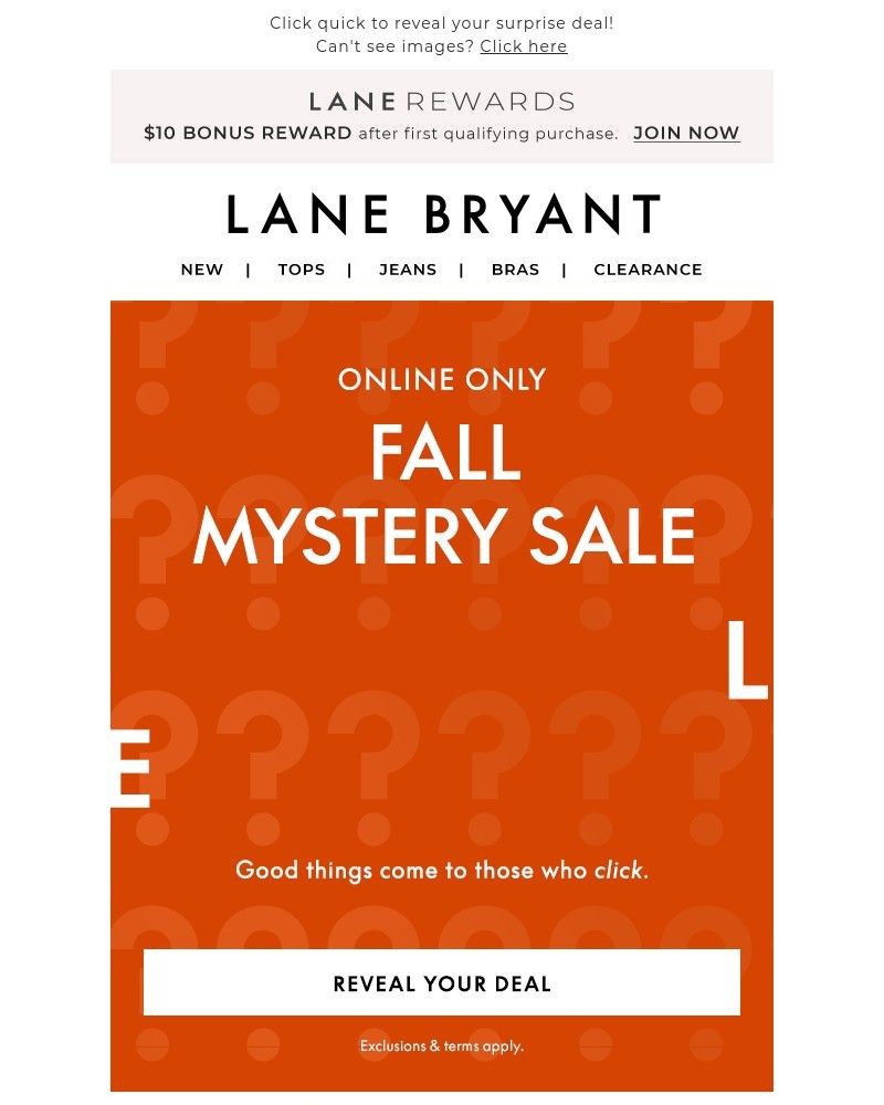 Screenshot of email with subject /media/emails/last-chance-for-the-mystery-sale-929549-cropped-f23031e3.jpg