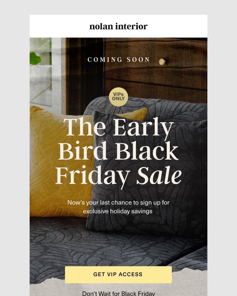 Screenshot of email with subject /media/emails/last-chance-for-vip-savings-13ad81-cropped-8f000037.jpg