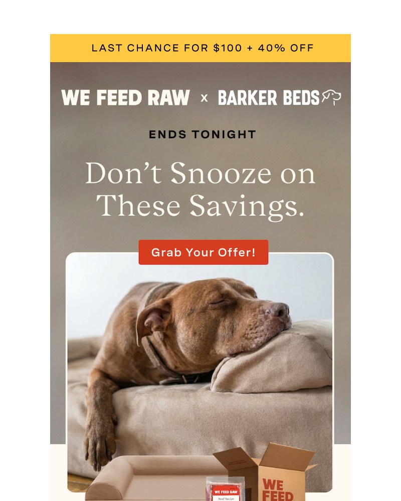 Screenshot of email sent to a We Feed Raw Newsletter subscriber