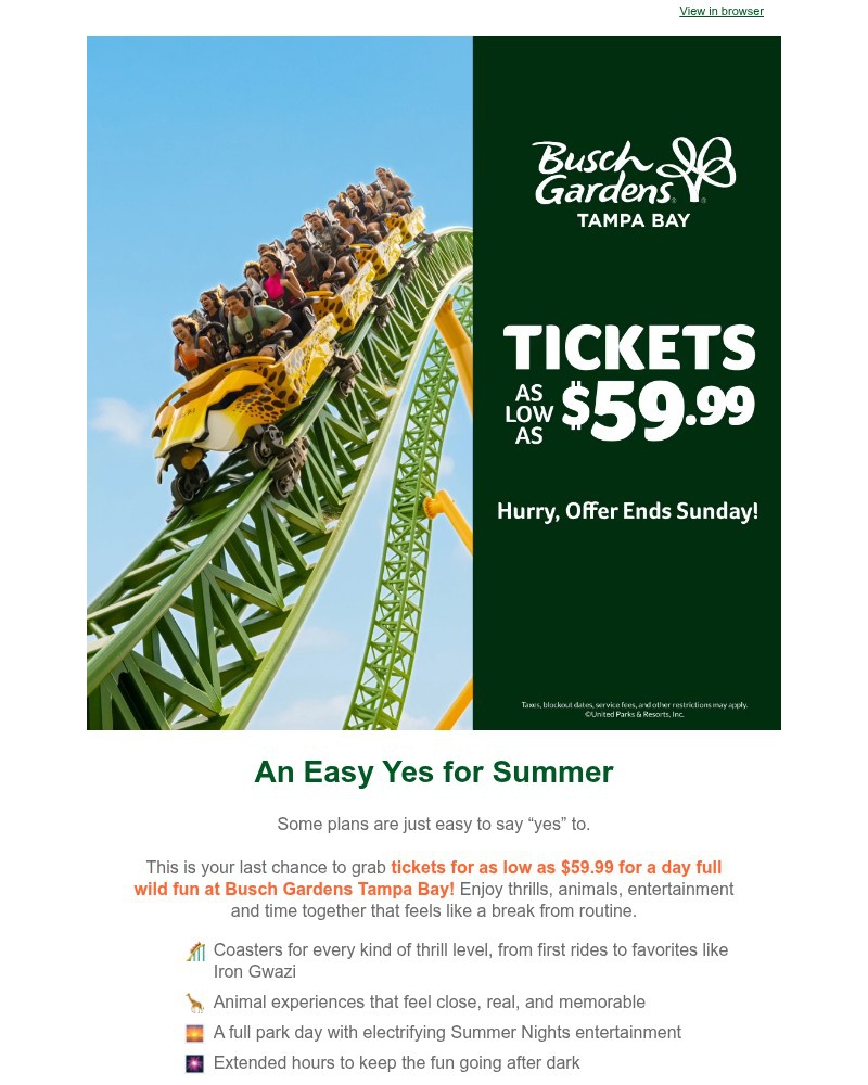 Screenshot of email sent to a Busch Gardens Newsletter subscriber