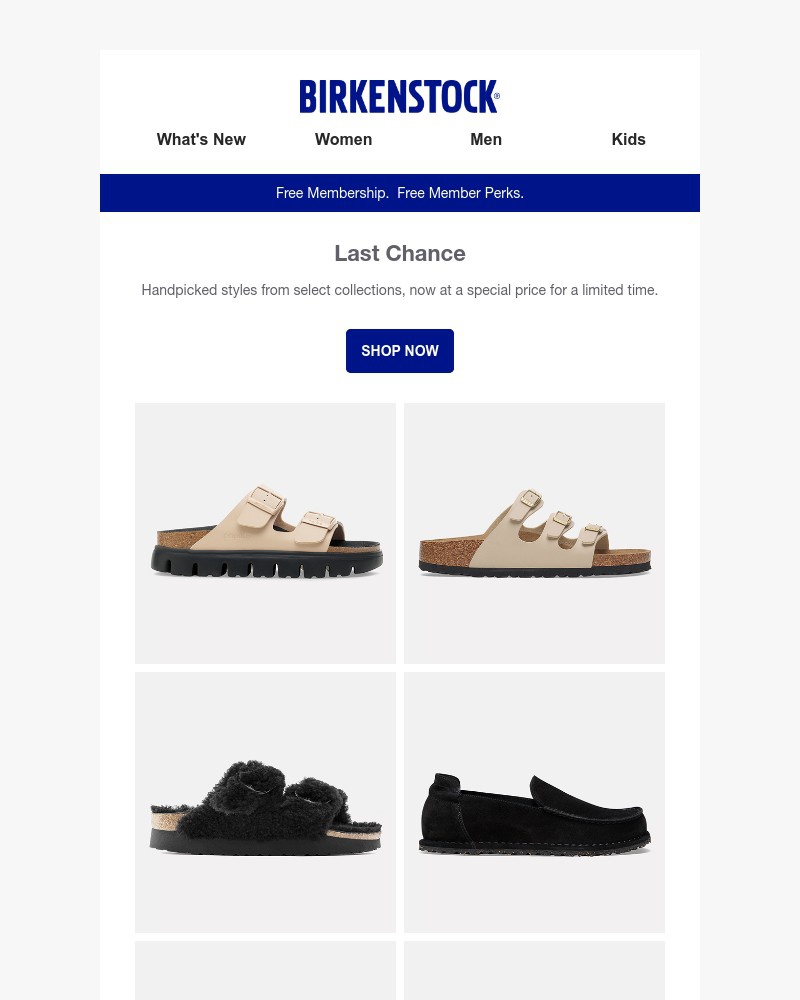 Screenshot of email sent to a Birkenstock Newsletter subscriber