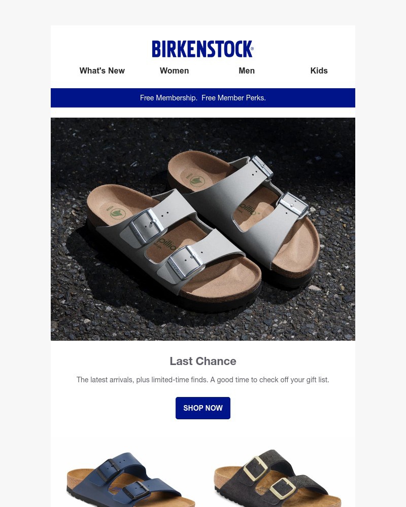 Screenshot of email with subject /media/emails/last-chance-holiday-gifting-icons-fresh-finds-39fd92-cropped-7d8070e5.jpg