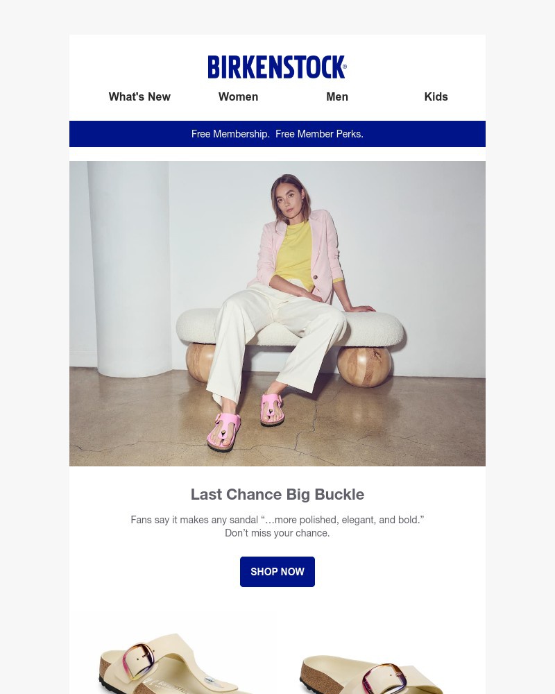 Screenshot of email with subject /media/emails/last-chance-make-your-sandals-more-polished-elegant-and-bold-9987e7-cropped-3c8f54f4.jpg