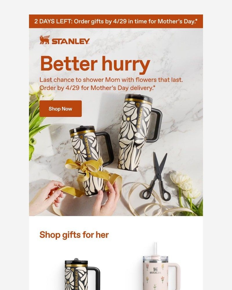 Screenshot of email sent to a Stanley Newsletter subscriber