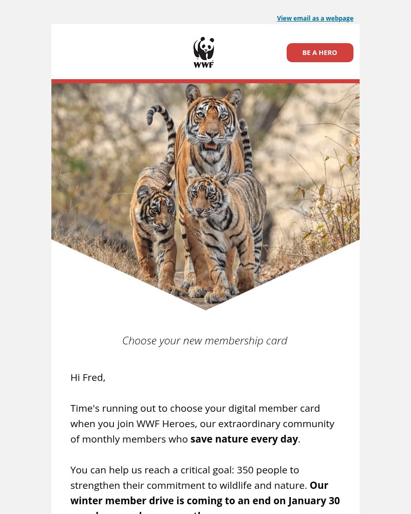 Screenshot of email with subject /media/emails/last-chance-pick-your-favorite-card-by-friday-94b3ec-cropped-e103b083.jpg