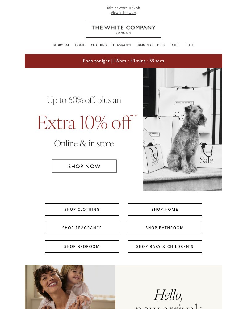 Screenshot of email with subject /media/emails/last-chance-sale-ends-tonight-3c1646-cropped-741c533d.jpg