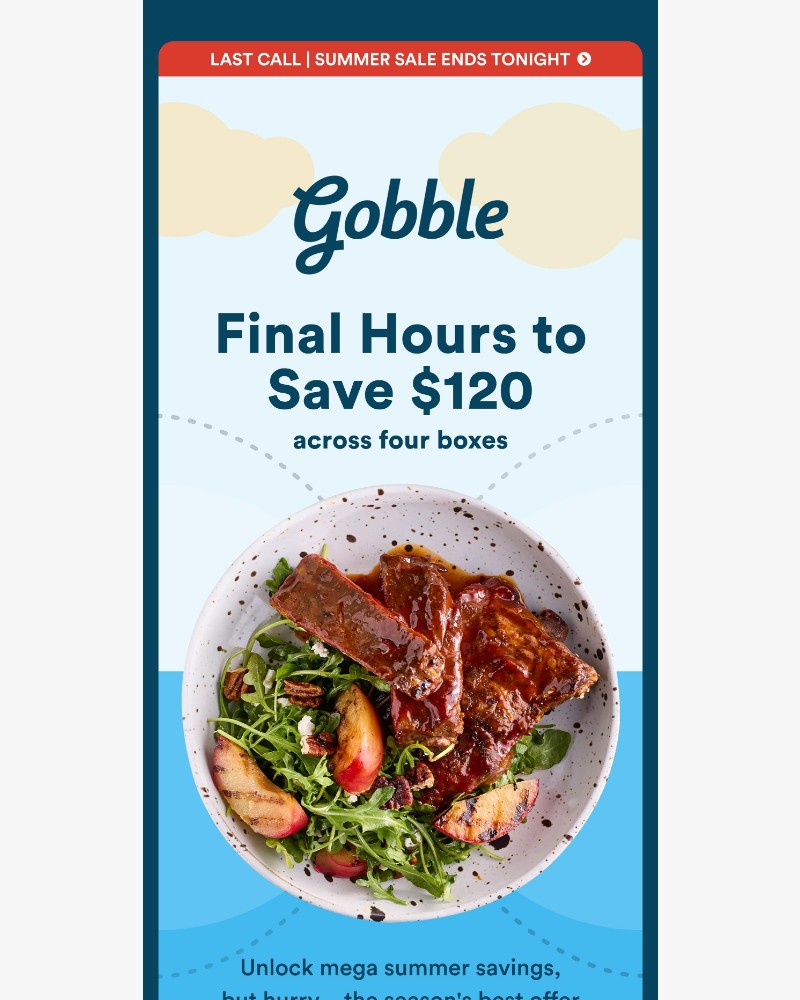 Screenshot of email with subject /media/emails/last-chance-save-120-today-e52339-cropped-a53563fd.jpg