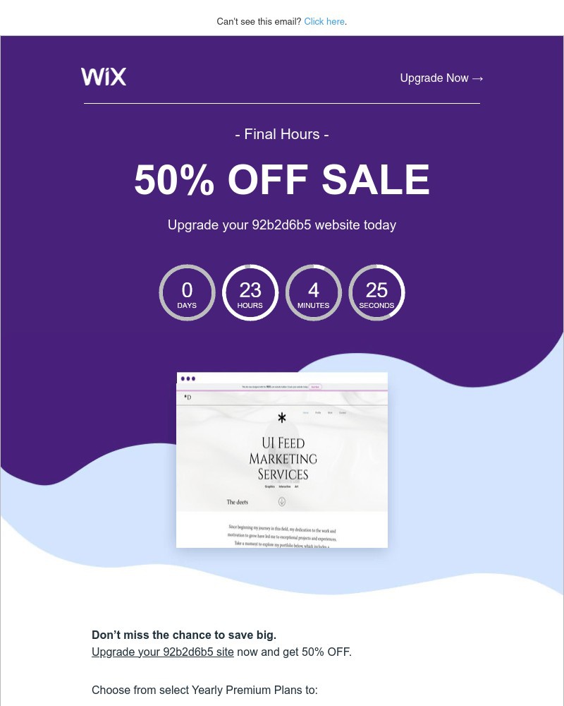 Screenshot of email sent to a Wix Registered user