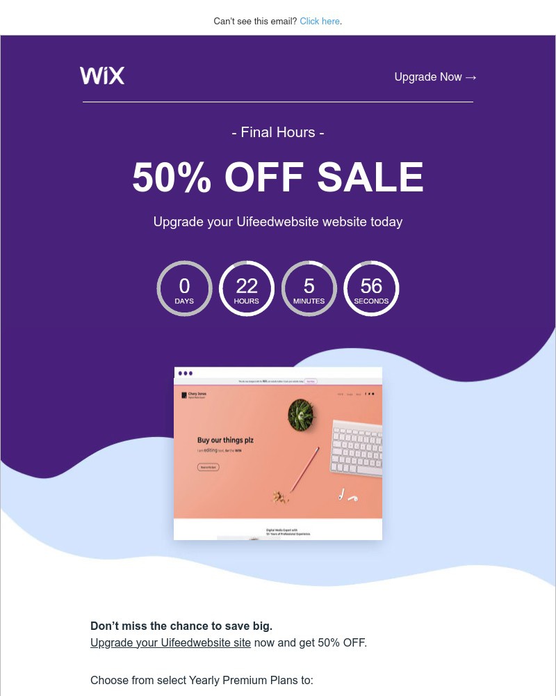 Screenshot of email sent to a Wix Registered user