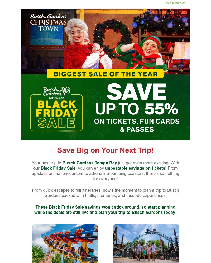 Screenshot of email with subject /media/emails/last-chance-save-up-to-55-during-our-black-friday-sale-6f6510-cropped-4ccb088e.jpg