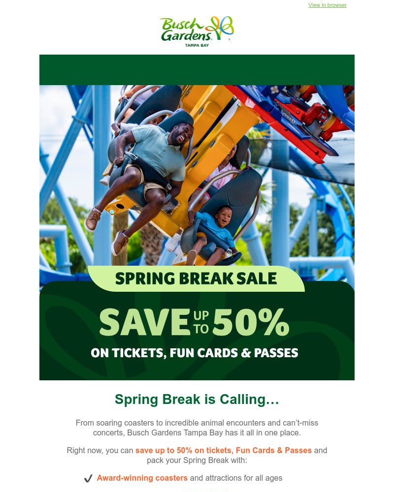 Screenshot of email sent to a Busch Gardens Newsletter subscriber