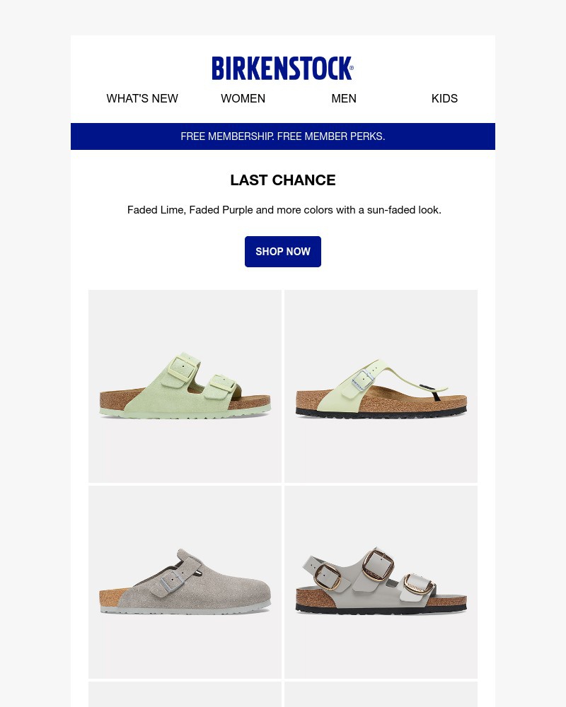 Screenshot of email with subject /media/emails/last-chance-sun-faded-colors-fb51d3-cropped-470f5235.jpg