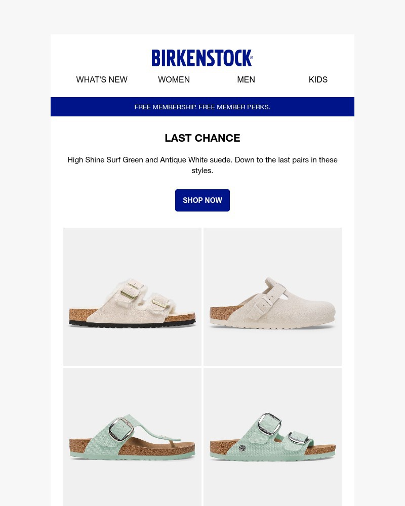 Screenshot of email sent to a Birkenstock Newsletter subscriber