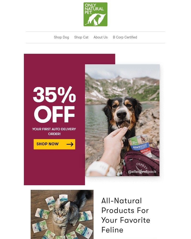 Screenshot of email with subject /media/emails/last-chance-to-get-35-off-your-first-auto-delivery-order-51ed43-cropped-c88cf6c5.jpg