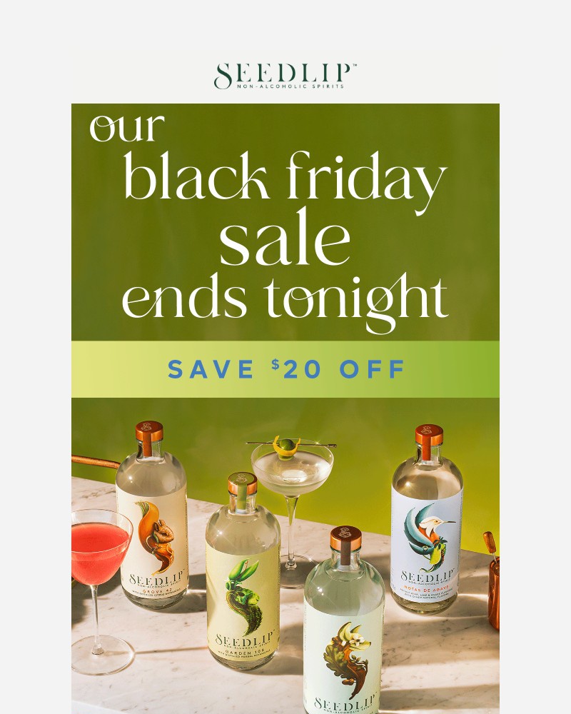 Screenshot of email with subject /media/emails/last-chance-to-get-in-on-our-black-friday-sale-b9baa3-cropped-c5ab7c0f.jpg