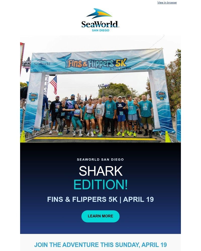 Screenshot of email with subject /media/emails/last-chance-to-register-fins-flippers-5k-run-is-this-sunday-413cdc-cropped-eb6e9b34.jpg