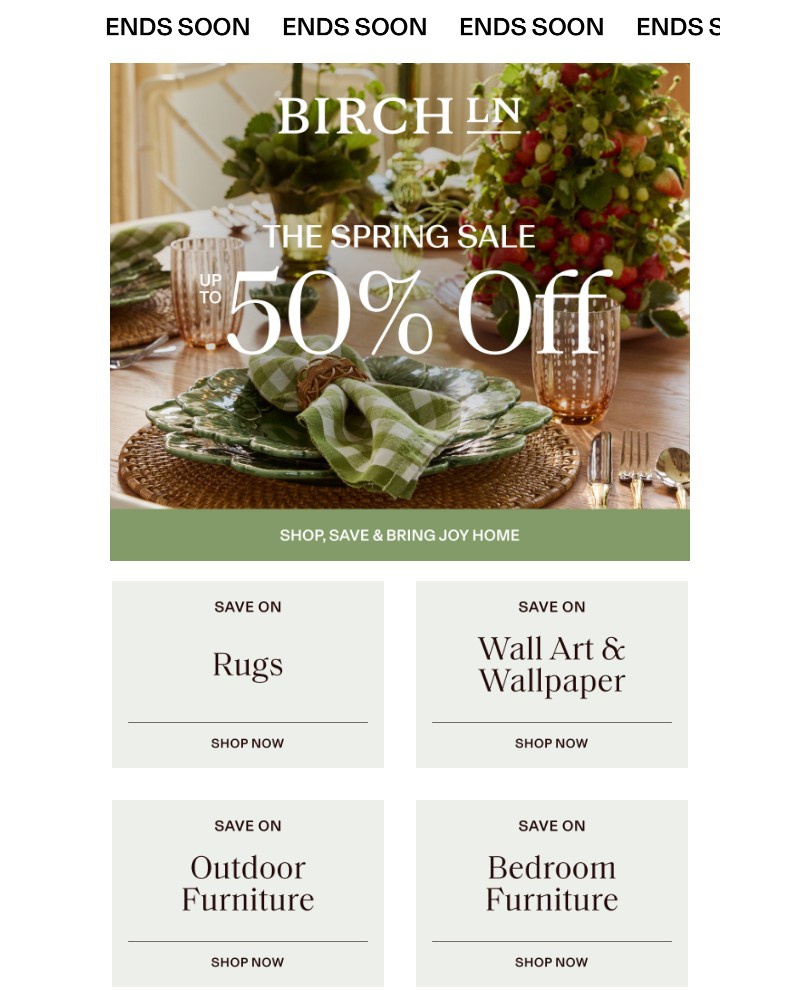 Screenshot of email sent to a Birch Lane Newsletter subscriber